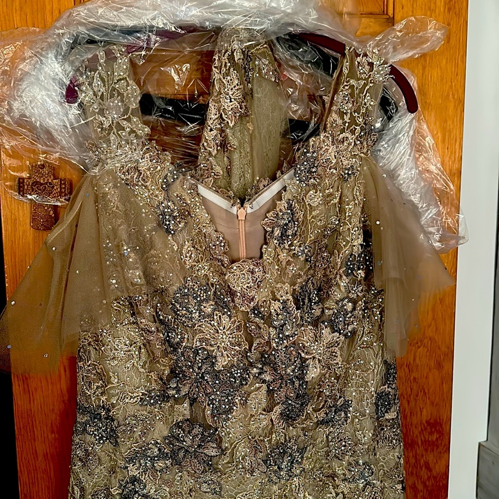 Mother of groom/bride dress minor alterations done to bust sleeve and hem